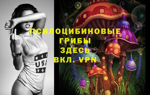 прущие грибы Гусиноозёрск
