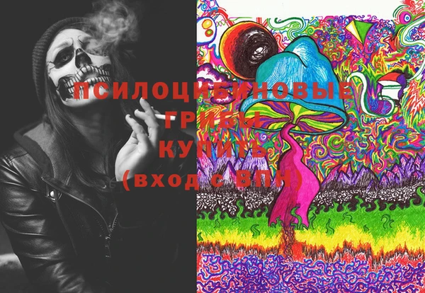 прущий лед Абаза